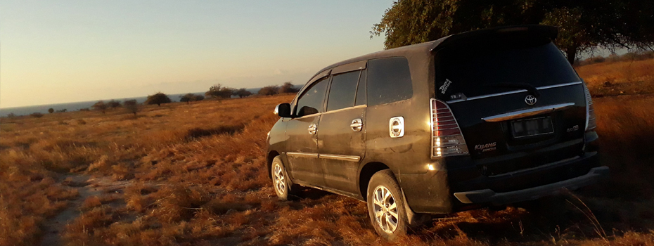 rental mobil sumba